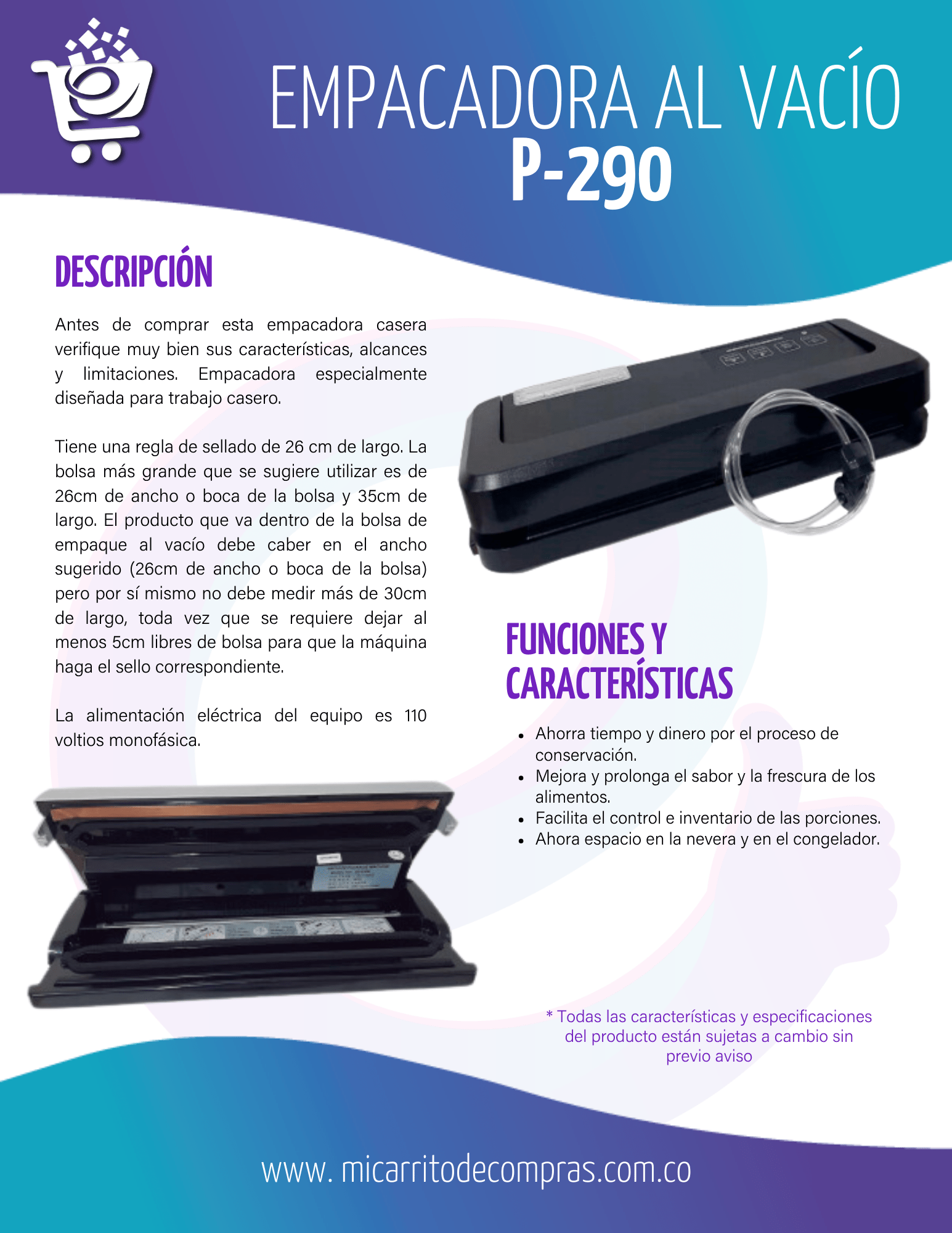 P-290 - Imagen 2